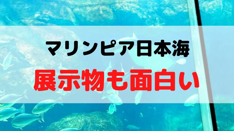 マリンピア日本海の展示物は面白い